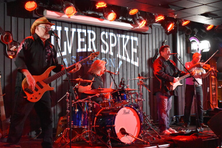 the silver spike glen cook the silver spike glen cook